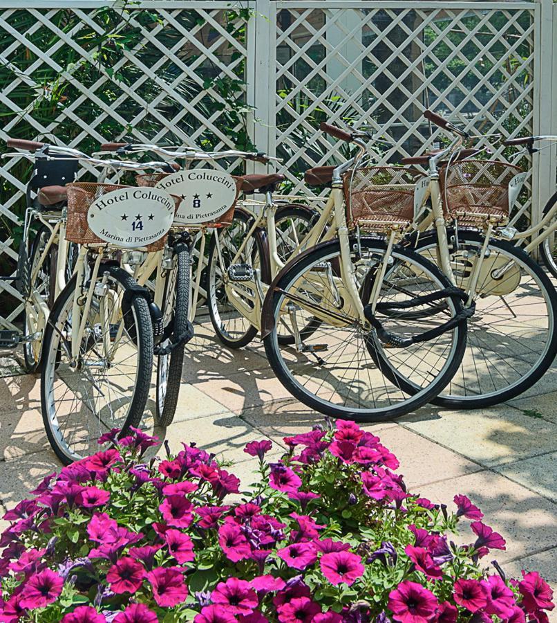 Hotel Coluccini Marina di Pietrasanta Exteriör bild